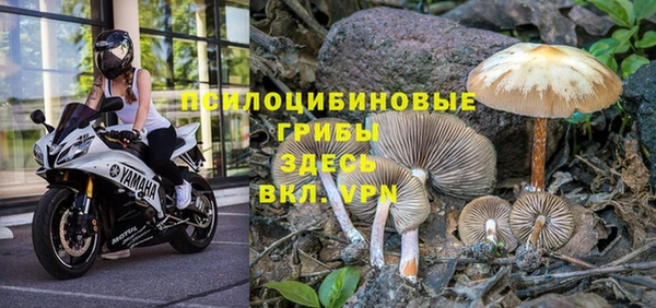 а пвп мука Алзамай