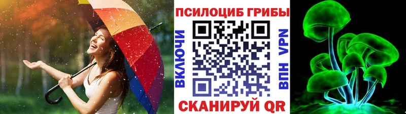 купить  цена  Каневская  Галлюциногенные грибы Magic Shrooms 